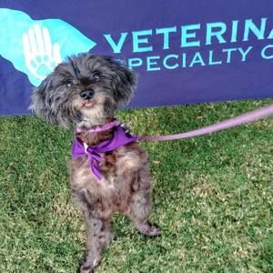 Meet your Posher, Linda